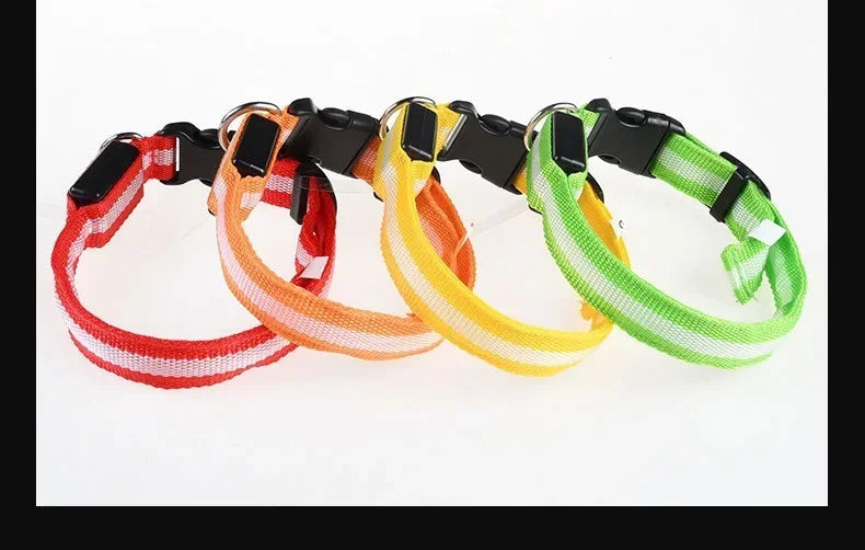 LED Dog Collar — Nylon Glow-in-the-Dark Night Safety Collar