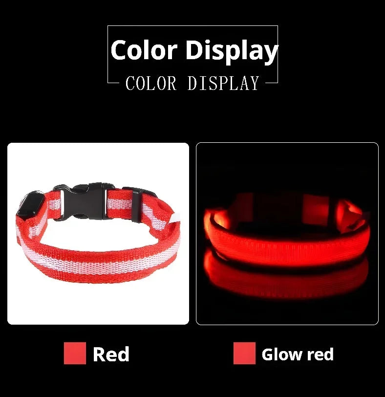 LED Dog Collar — Nylon Glow-in-the-Dark Night Safety Collar