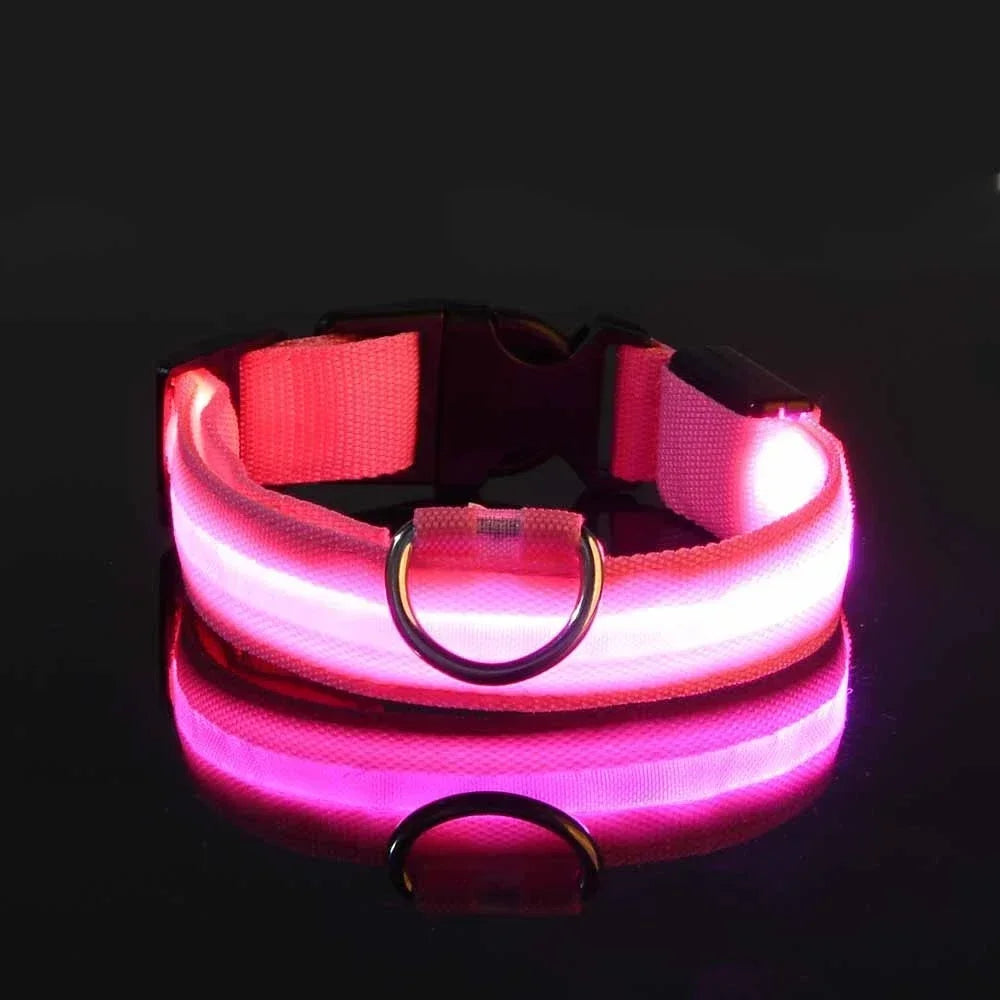LED Dog Collar — Nylon Glow-in-the-Dark Night Safety Collar