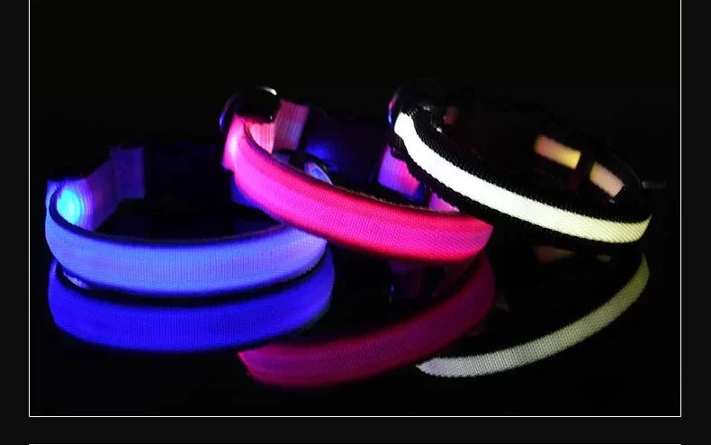 LED Dog Collar — Nylon Glow-in-the-Dark Night Safety Collar