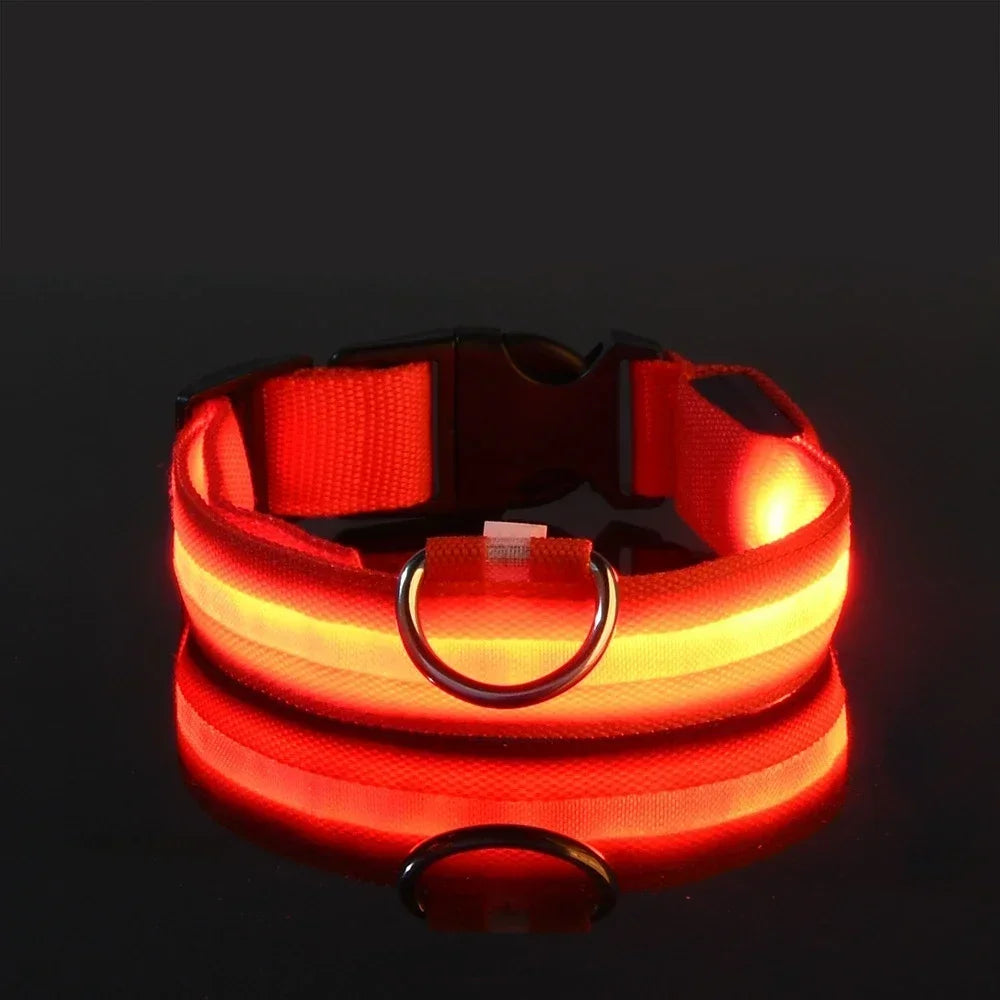 LED Dog Collar — Nylon Glow-in-the-Dark Night Safety Collar