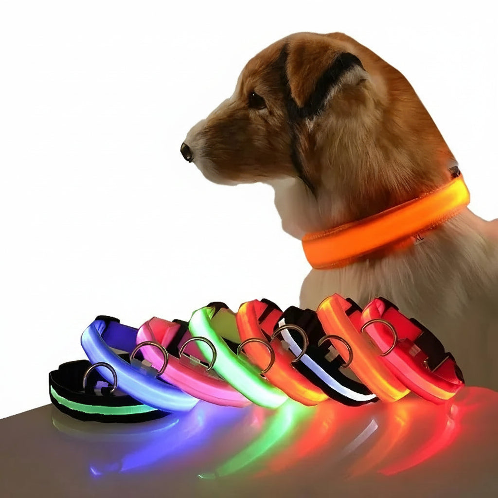 LED Dog Collar — Nylon Glow-in-the-Dark Night Safety Collar