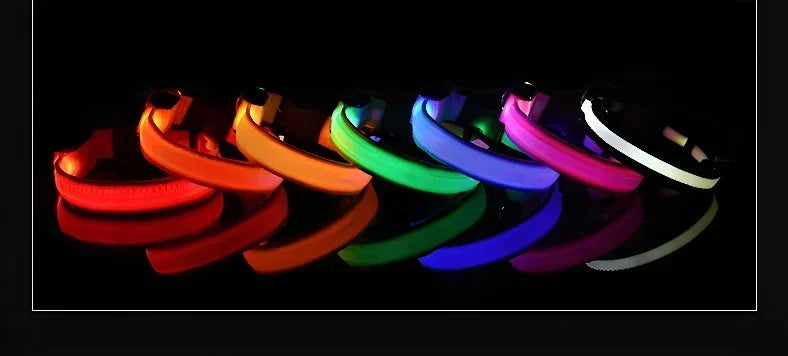 LED Dog Collar — Nylon Glow-in-the-Dark Night Safety Collar