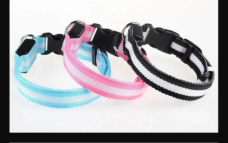 LED Dog Collar — Nylon Glow-in-the-Dark Night Safety Collar