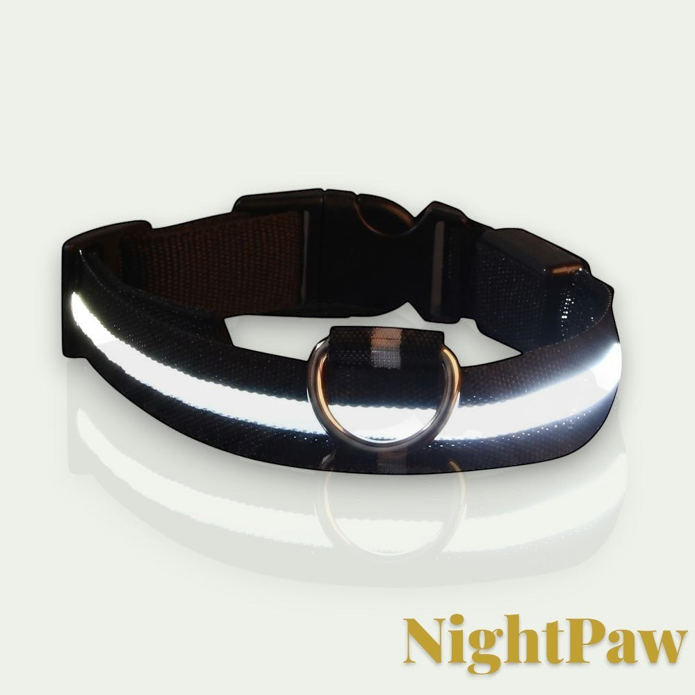 Gr8est NightPaw black nylon LED dog collar with a bright reflective safety strip and metal D-ring for night walks.