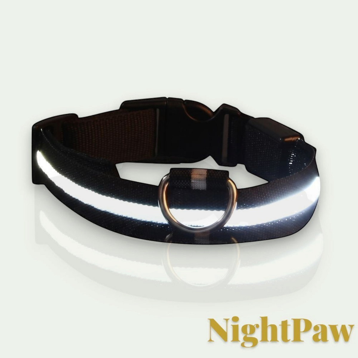 Gr8est NightPaw black nylon LED dog collar with a bright reflective safety strip and metal D-ring for night walks.