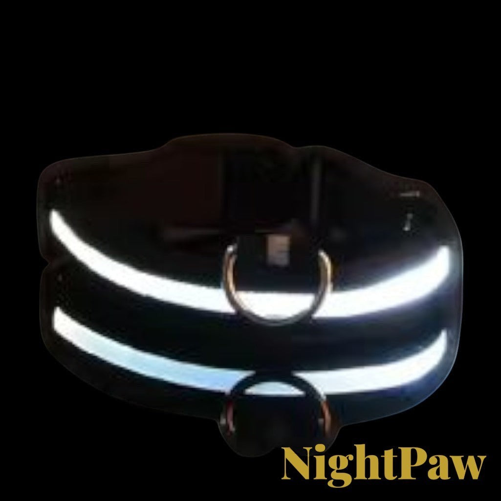Gr8est NightPaw black nylon dog collar with bright LED light strips for night safety