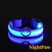 Gr8est NightPaw blue LED nylon dog collar glowing in the dark for night safety