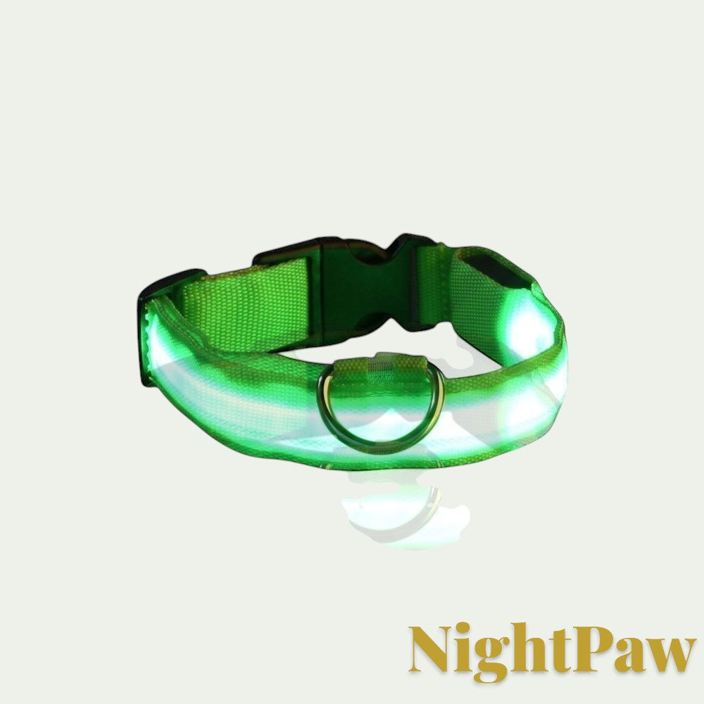 Gr8est NightPaw green LED nylon dog collar for night safety with a durable buckle and metal D-ring.