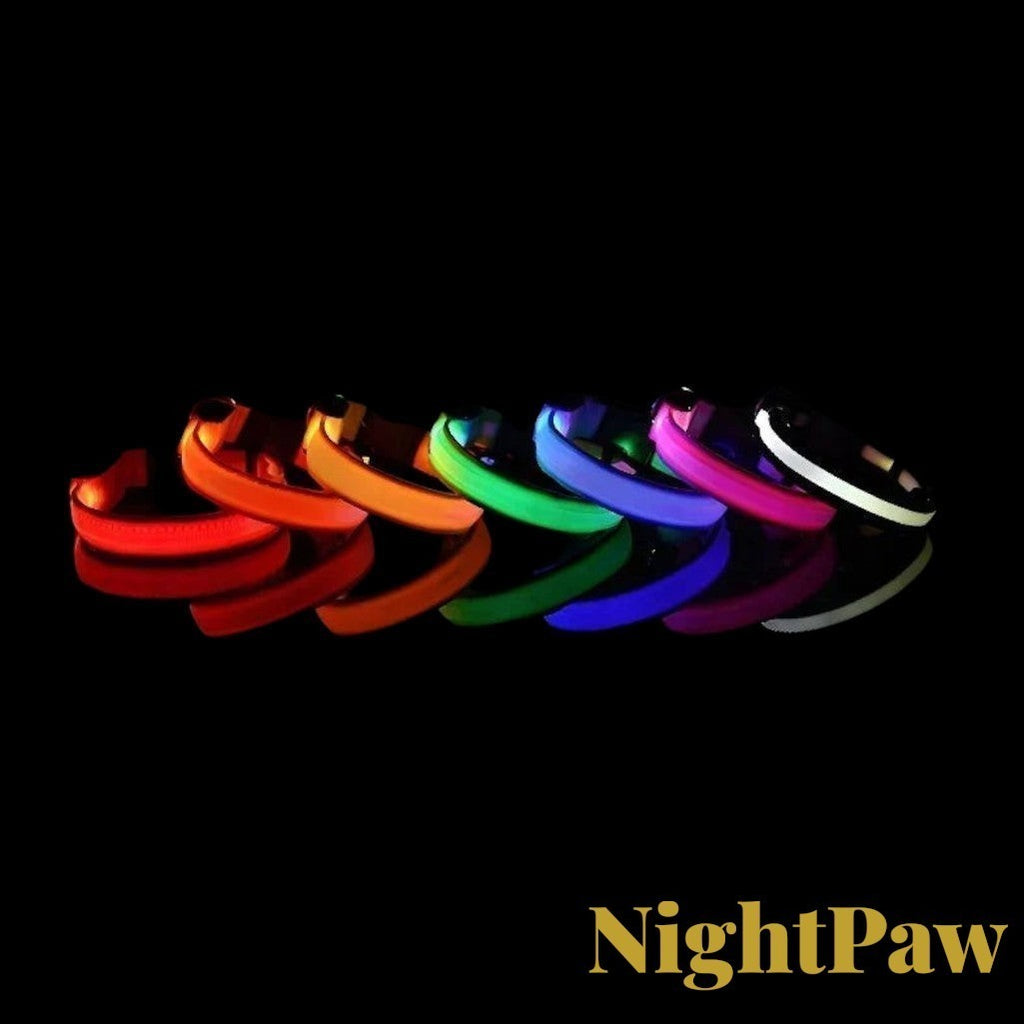Gr8est NightPaw nylon dog collars in seven vibrant LED glowing colors arranged in a row against a black background.
