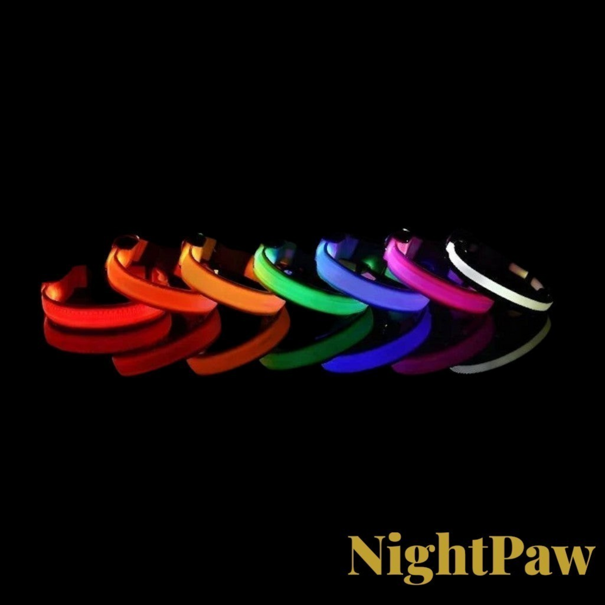 Gr8est NightPaw nylon dog collars in seven vibrant LED glowing colors arranged in a row against a black background.