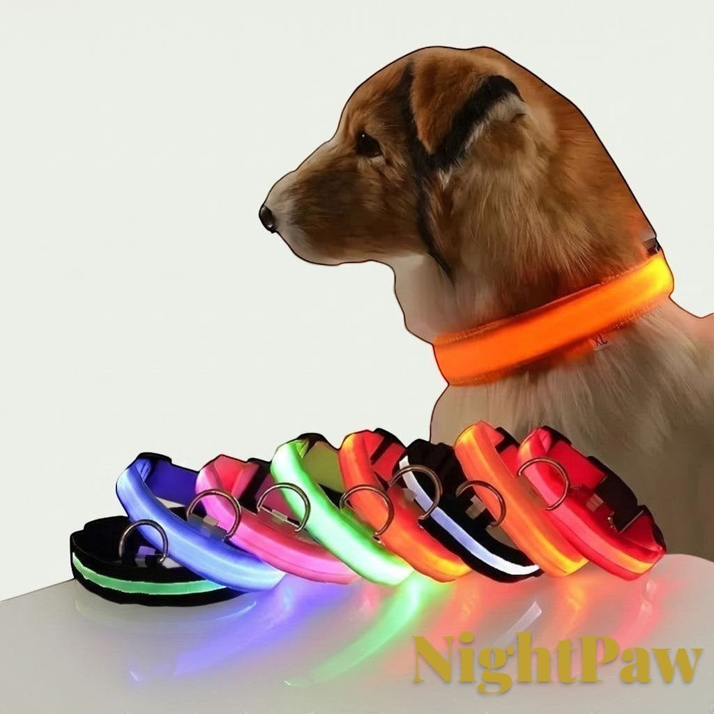 Gr8est NightPaw LED nylon dog safety collars in various glowing colors worn by a dog for night visibility