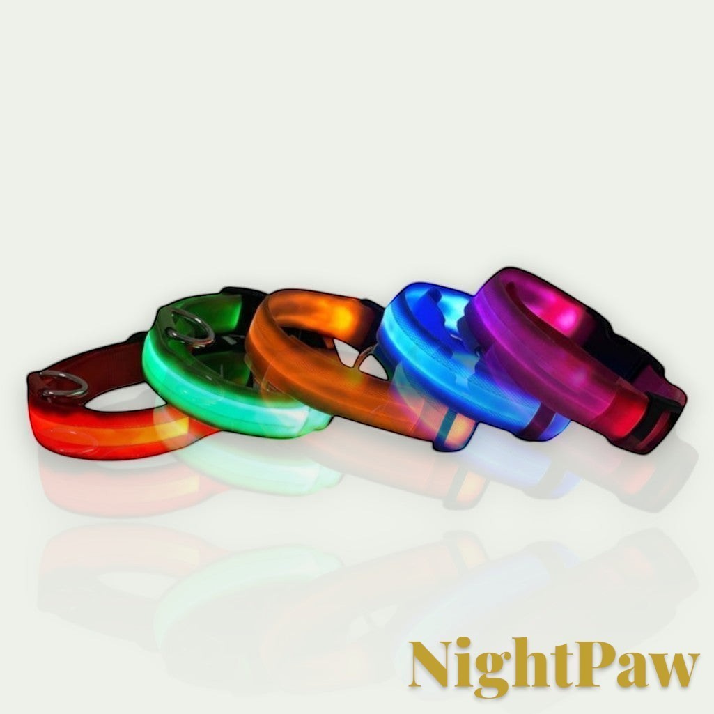 Gr8est NightPaw LED nylon dog collars in red, green, orange, blue, and pink glowing in the dark for night visibility.