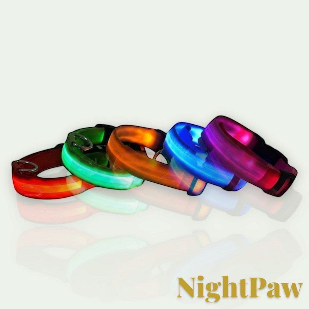 Gr8est NightPaw LED nylon dog collars in red, green, orange, blue, and pink glowing in the dark for night visibility.