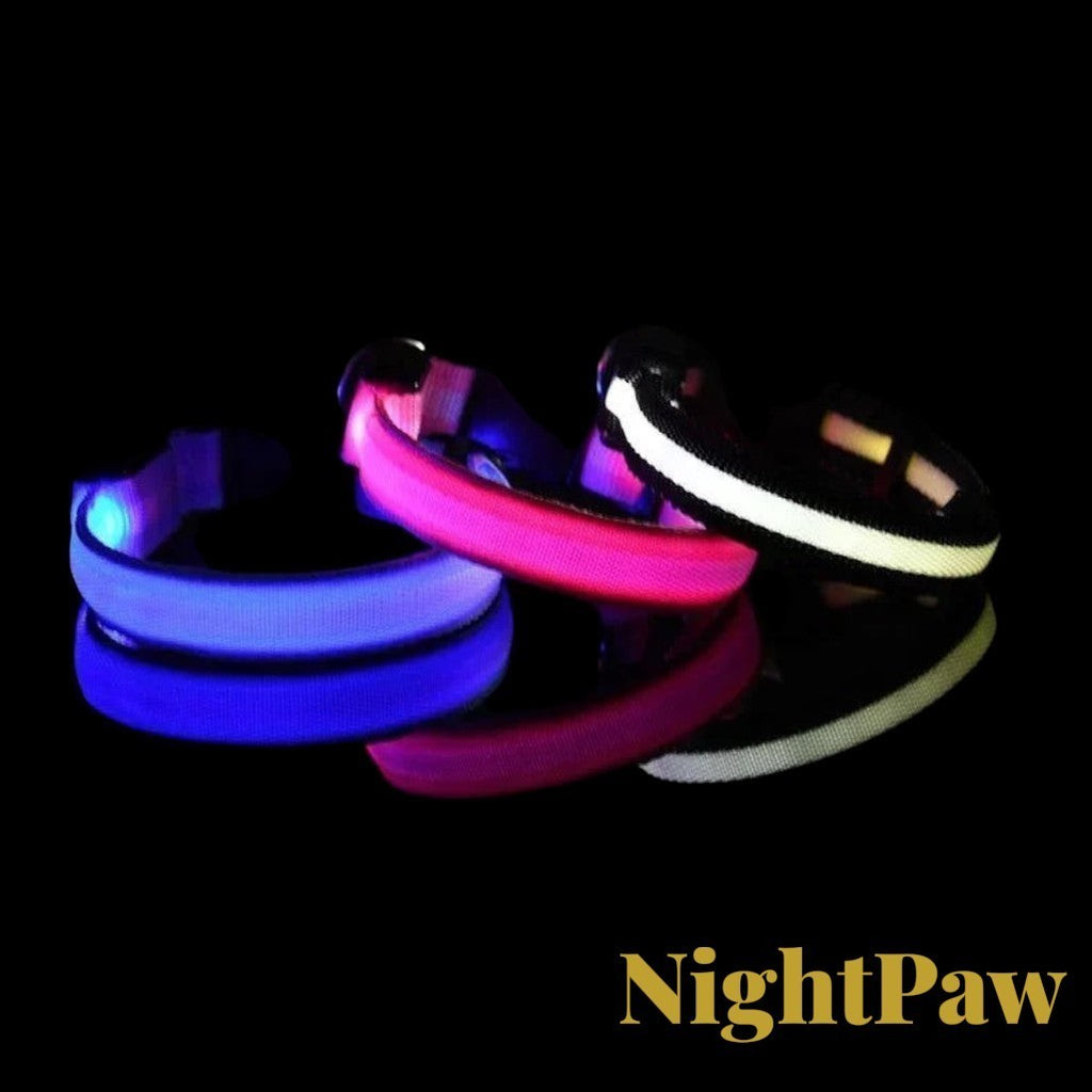 Gr8est NightPaw nylon LED dog collars in blue, pink, and white glowing against a black background