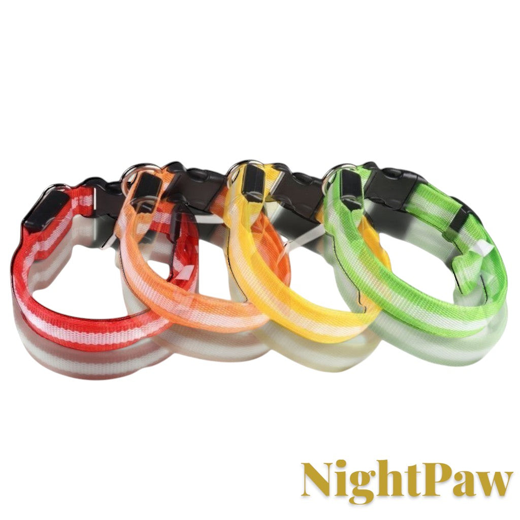 Gr8est NightPaw LED nylon dog collars in red, orange, yellow, and green for night safety