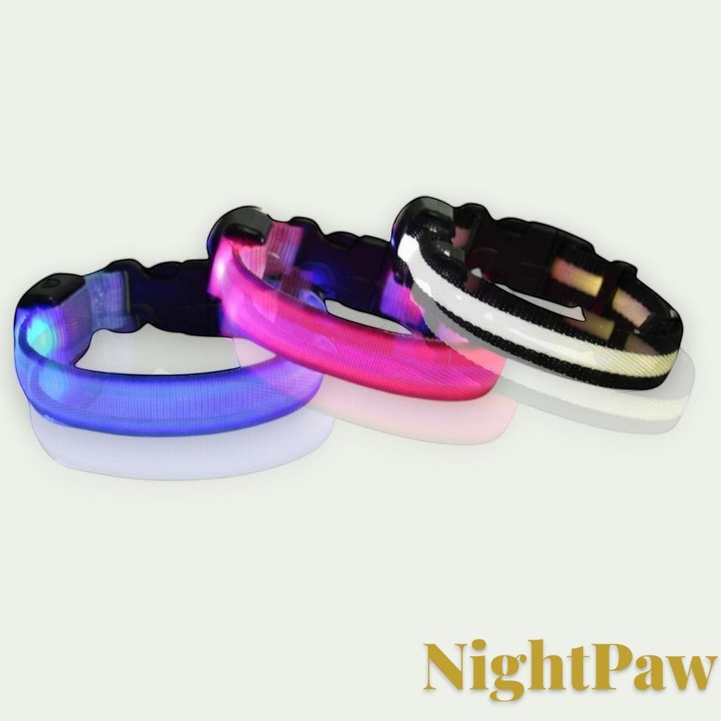 Gr8est NightPaw LED nylon dog collars in blue, pink, and white glowing in the dark for night safety