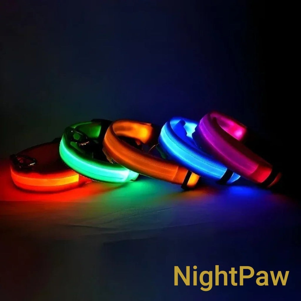 Gr8est NightPaw LED nylon dog collars in red, green, orange, blue, and pink glowing in the dark