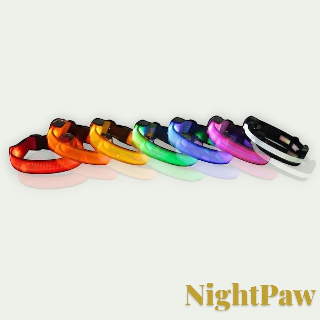 Gr8est NightPaw LED nylon dog collars in seven vibrant glowing colors for night safety