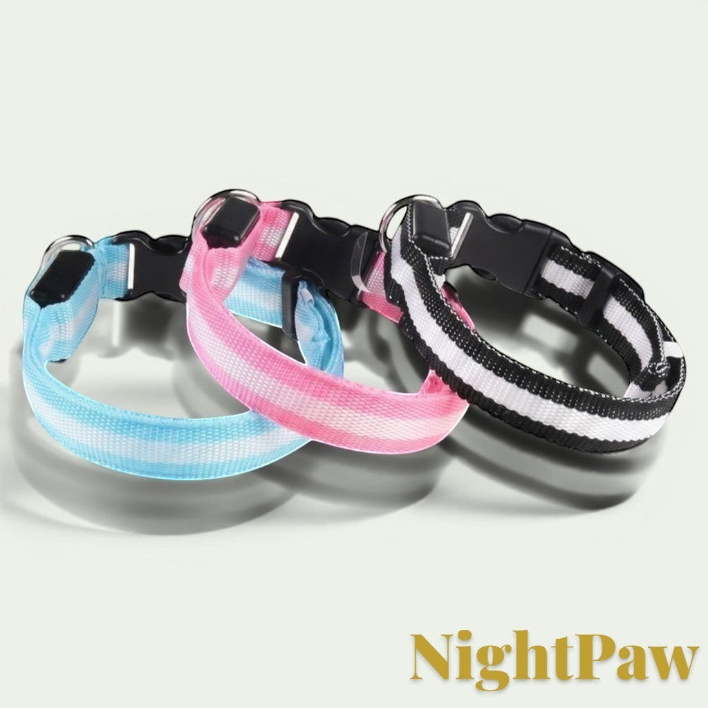 Gr8est NightPaw LED nylon dog collars in blue, pink, and black striped designs for night safety.