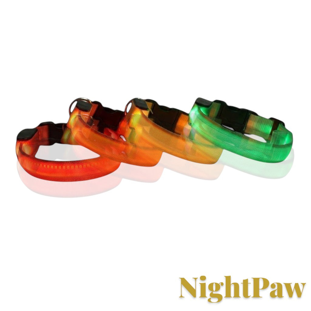Gr8est NightPaw nylon dog safety collars glowing in red, orange, and green LED lights for night visibility.