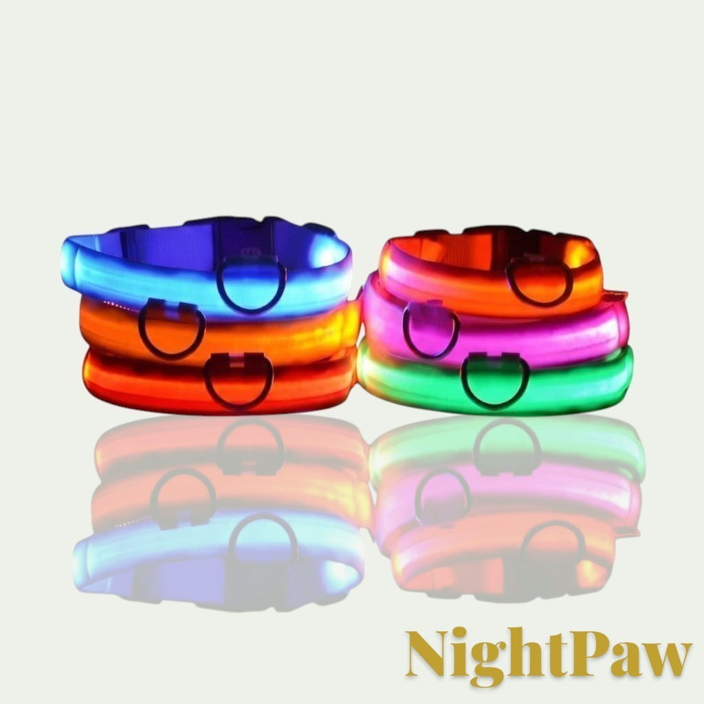 Gr8est NightPaw LED glow-in-the-dark nylon dog collars in blue, orange, red, and green stacked with reflections.