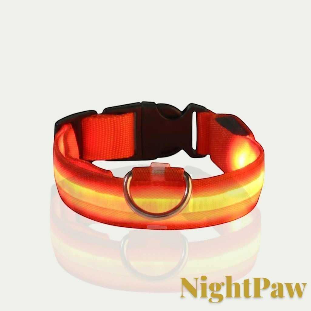 Gr8est NightPaw orange nylon LED dog collar with a glowing light strip and metal D-ring for night safety