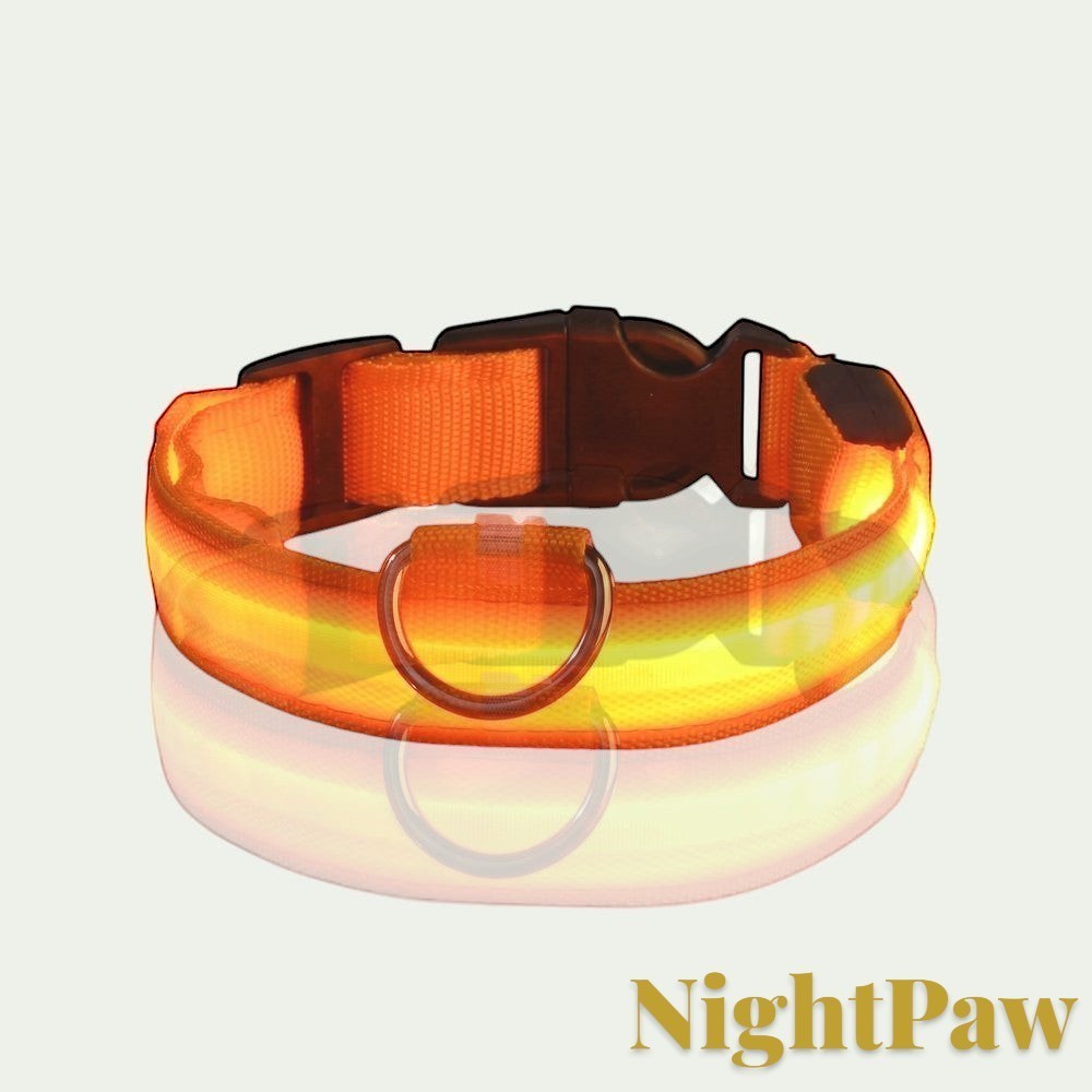 Gr8est NightPaw orange nylon LED dog safety collar with a durable buckle and metal D-ring for night visibility.