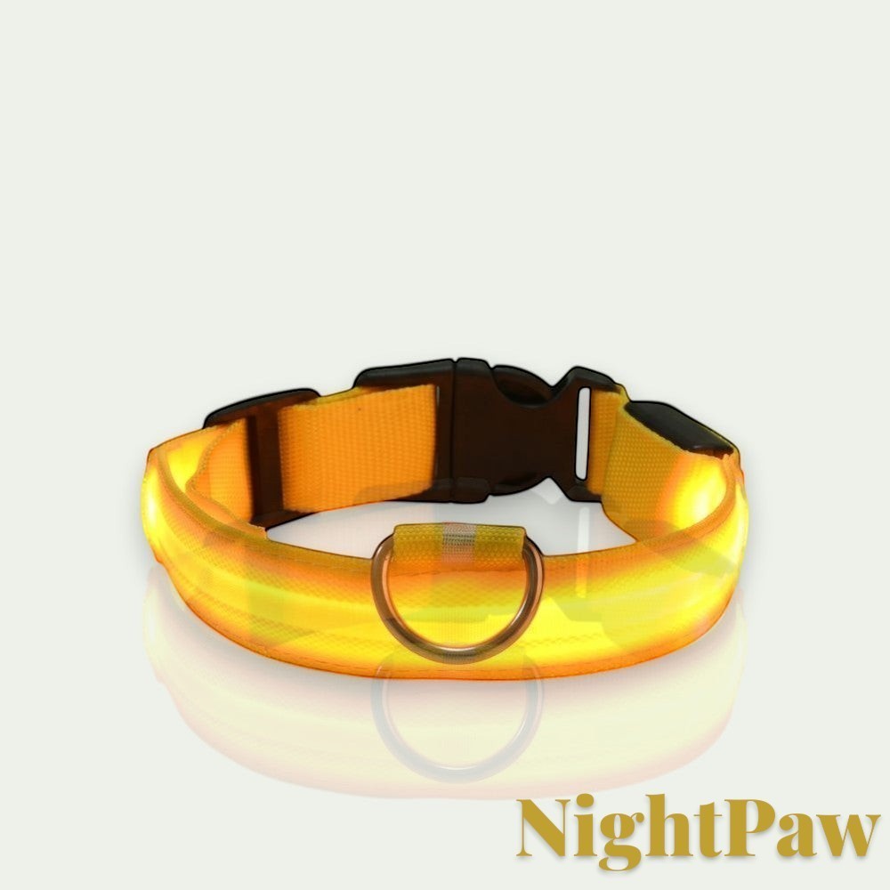 Gr8est NightPaw orange nylon LED dog collar with a sturdy buckle and D-ring for nighttime safety and visibility.