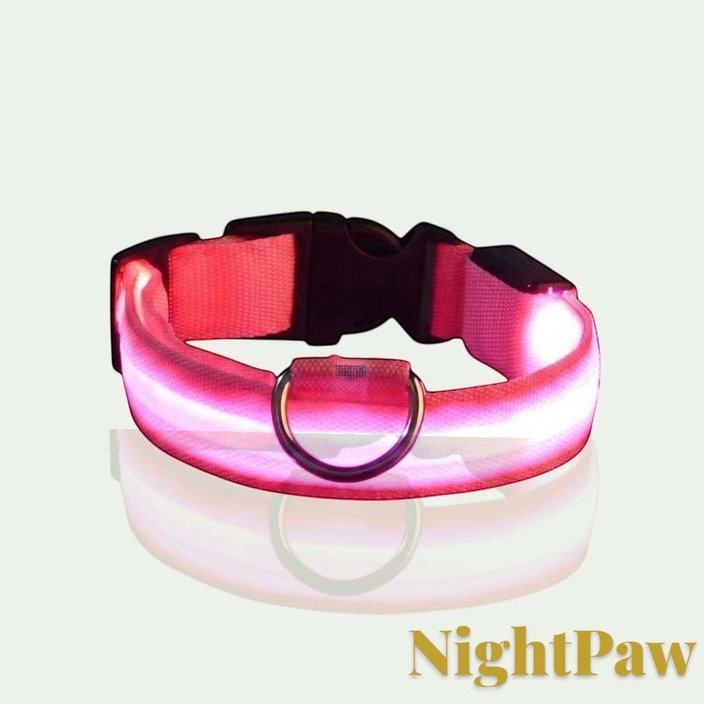 Gr8est NightPaw pink nylon LED dog collar glowing for night safety