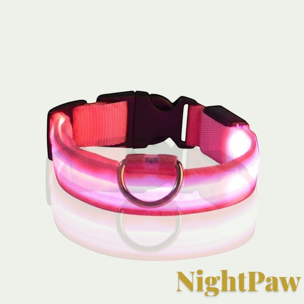 Gr8est NightPaw pink LED nylon dog safety collar glowing for night visibility