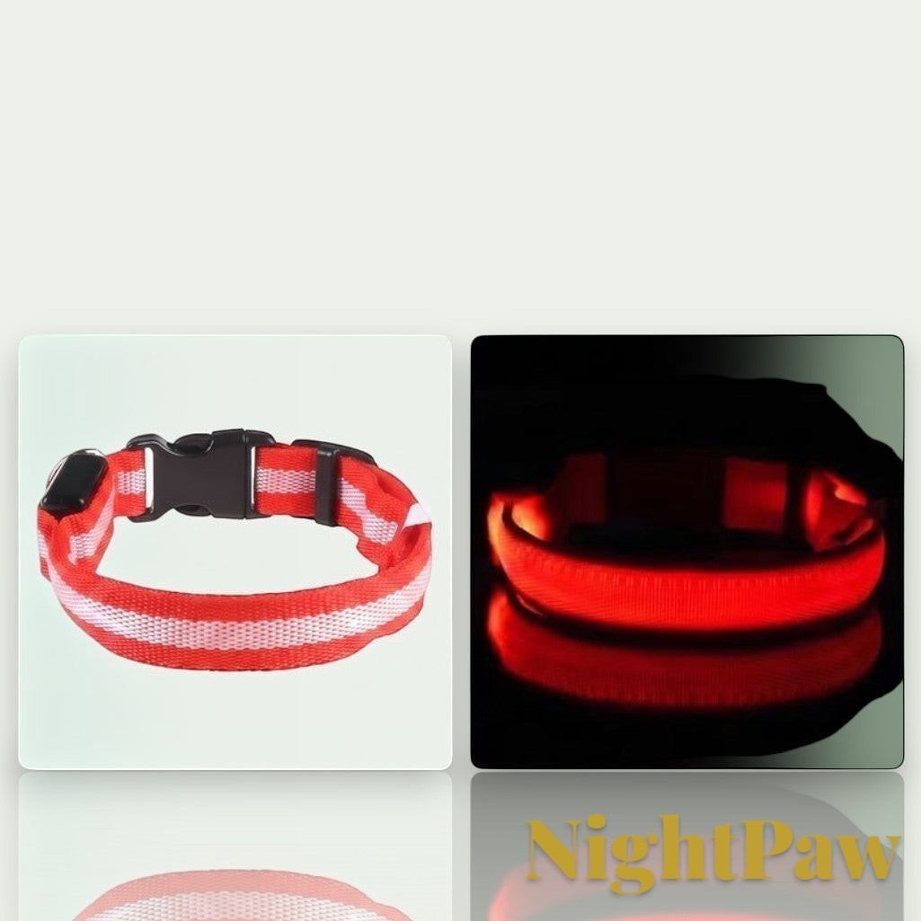Gr8est NightPaw red nylon LED dog collar shown in daylight and glowing brightly in the dark for night safety.