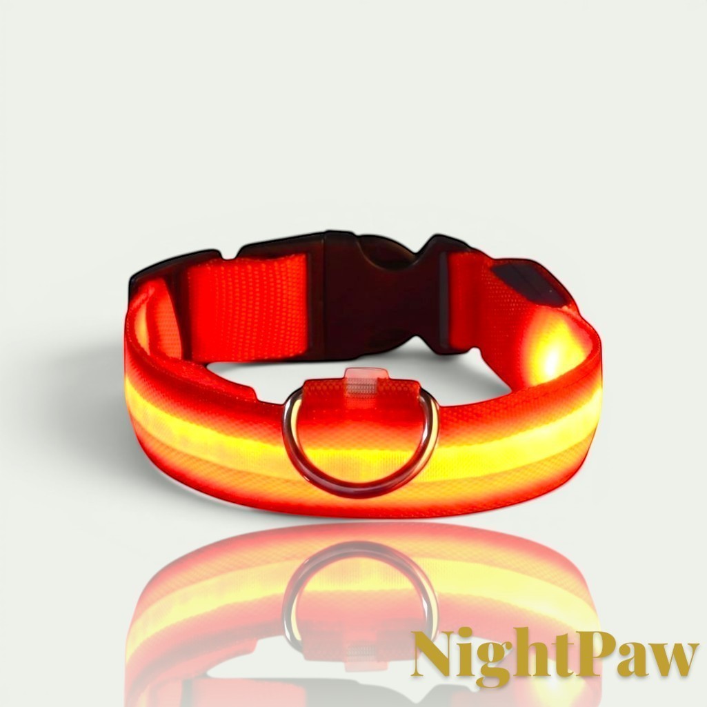 Gr8est NightPaw red nylon LED dog collar with a glowing light strip for night safety and a metal D-ring attachment.