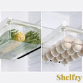 Gr8est Shelfzy clear plastic under-shelf fridge drawer organizer holding fresh vegetables and eggs in a refrigerator.