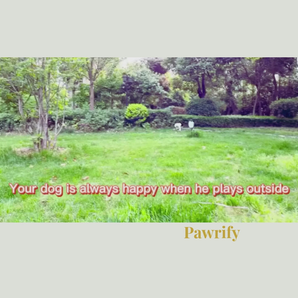 Pawrify – Clean Muddy Dog Paws in Seconds | Electric Paw Washer