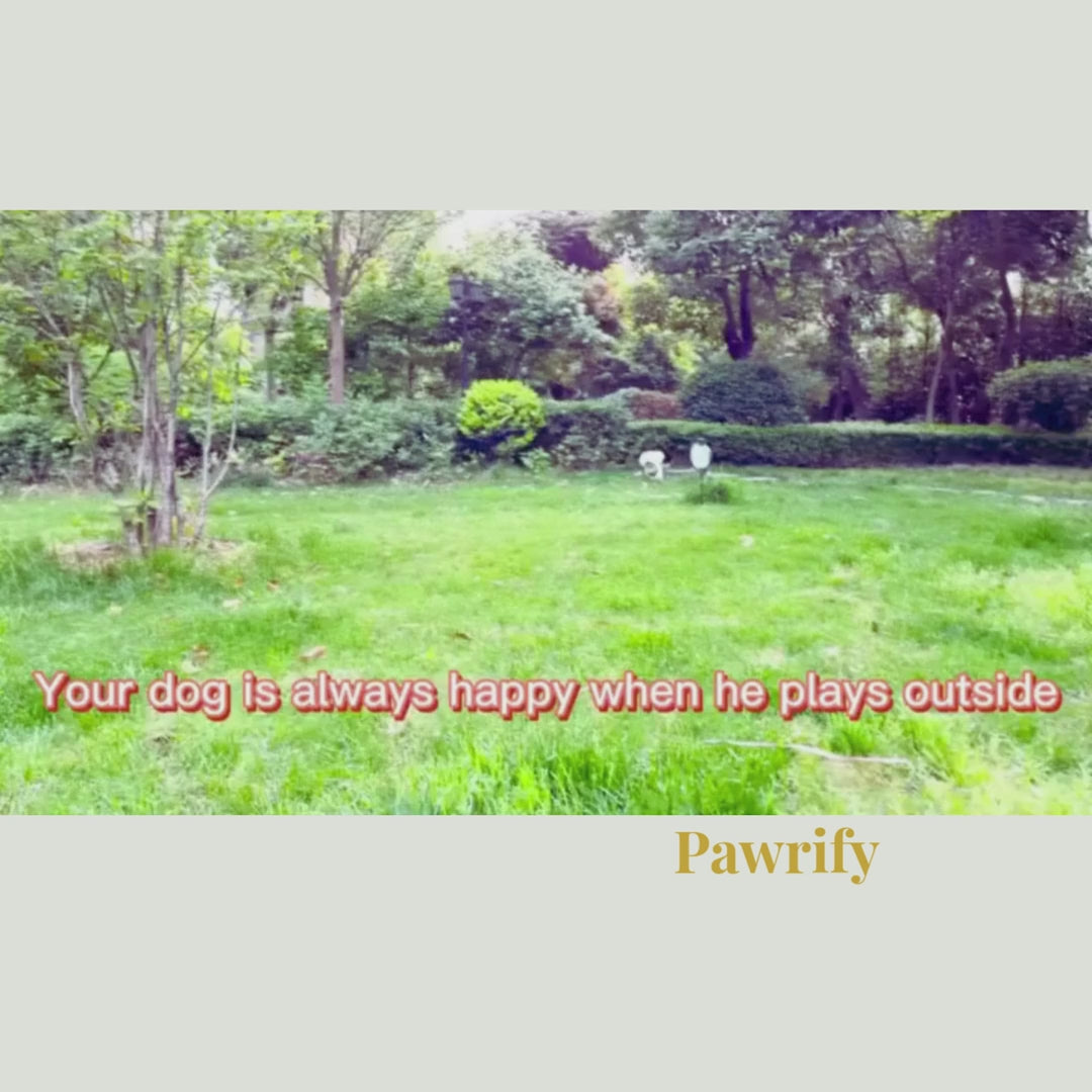 Pawrify – Clean Muddy Dog Paws in Seconds | Electric Paw Washer