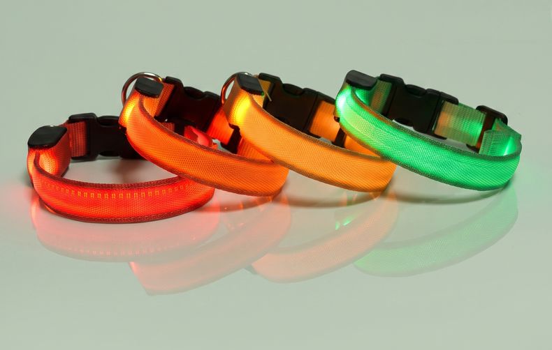 Studio photo of NightPaw — LED Glow-in-the-Dark Nylon Dog Safety Collar in Edit: Resize the entire canvas to a 1024x1024 …
