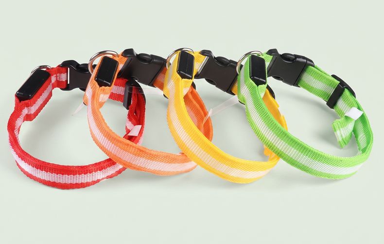 Studio photo of NightPaw — LED Glow-in-the-Dark Nylon Dog Safety Collar in Edit: Resize the entire canvas to a 1024x1024 …