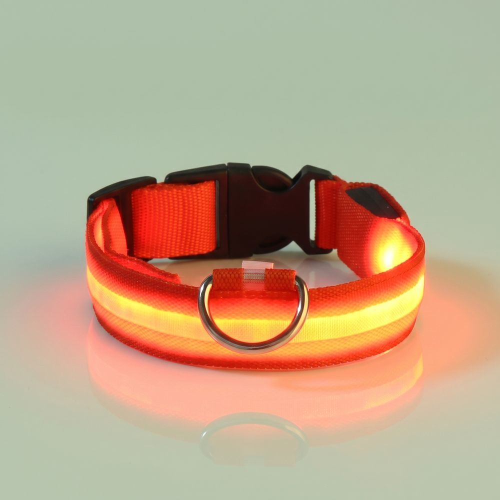 Studio photo of NightPaw — LED Glow-in-the-Dark Nylon Dog Safety Collar in Edit: Resize the entire canvas to a 1024x1024 …