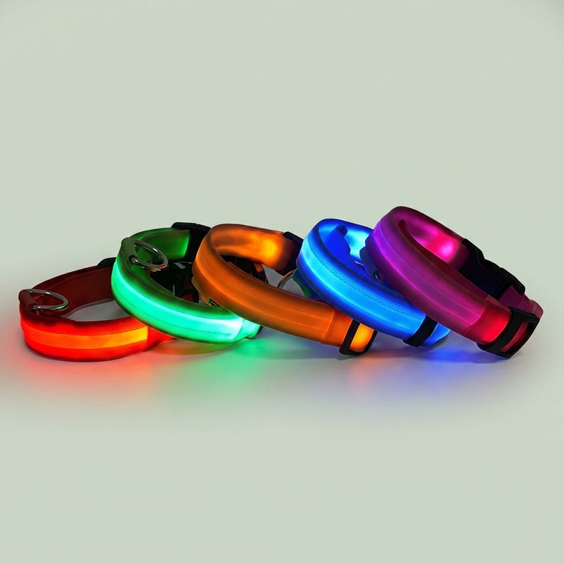 Studio photo of NightPaw — LED Glow-in-the-Dark Nylon Dog Safety Collar in Edit: Resize the entire canvas to a 1024x1024 …