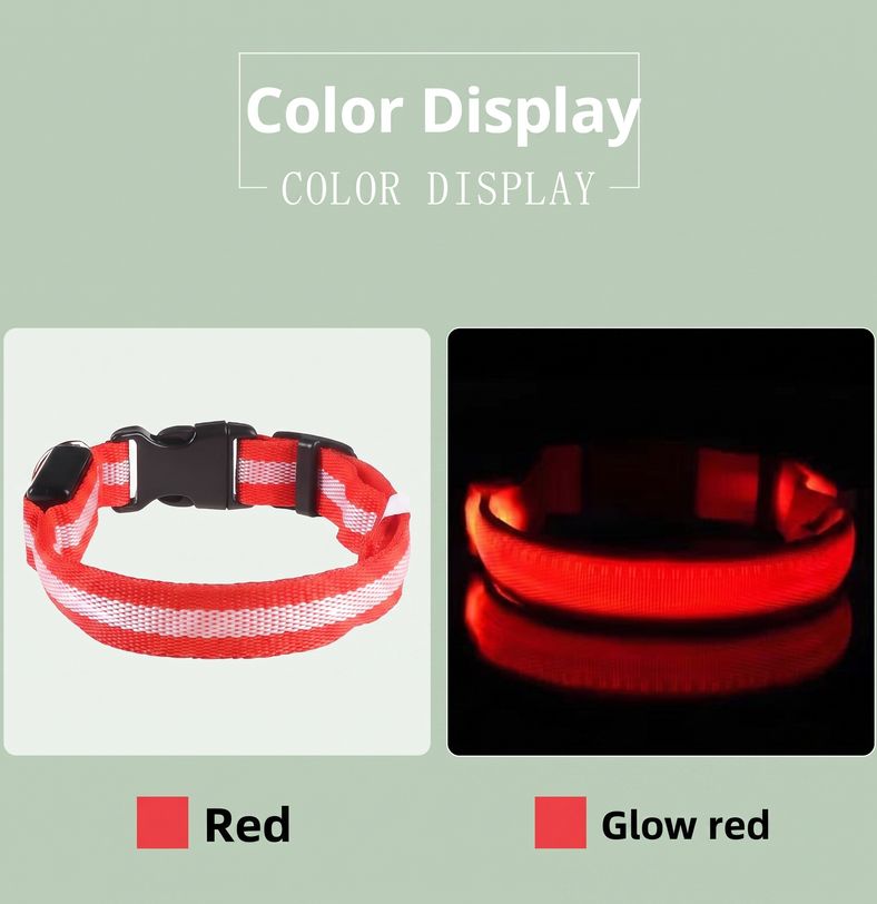 Studio photo of NightPaw — LED Glow-in-the-Dark Nylon Dog Safety Collar in Edit: Resize the entire canvas to a 1024x1024 …