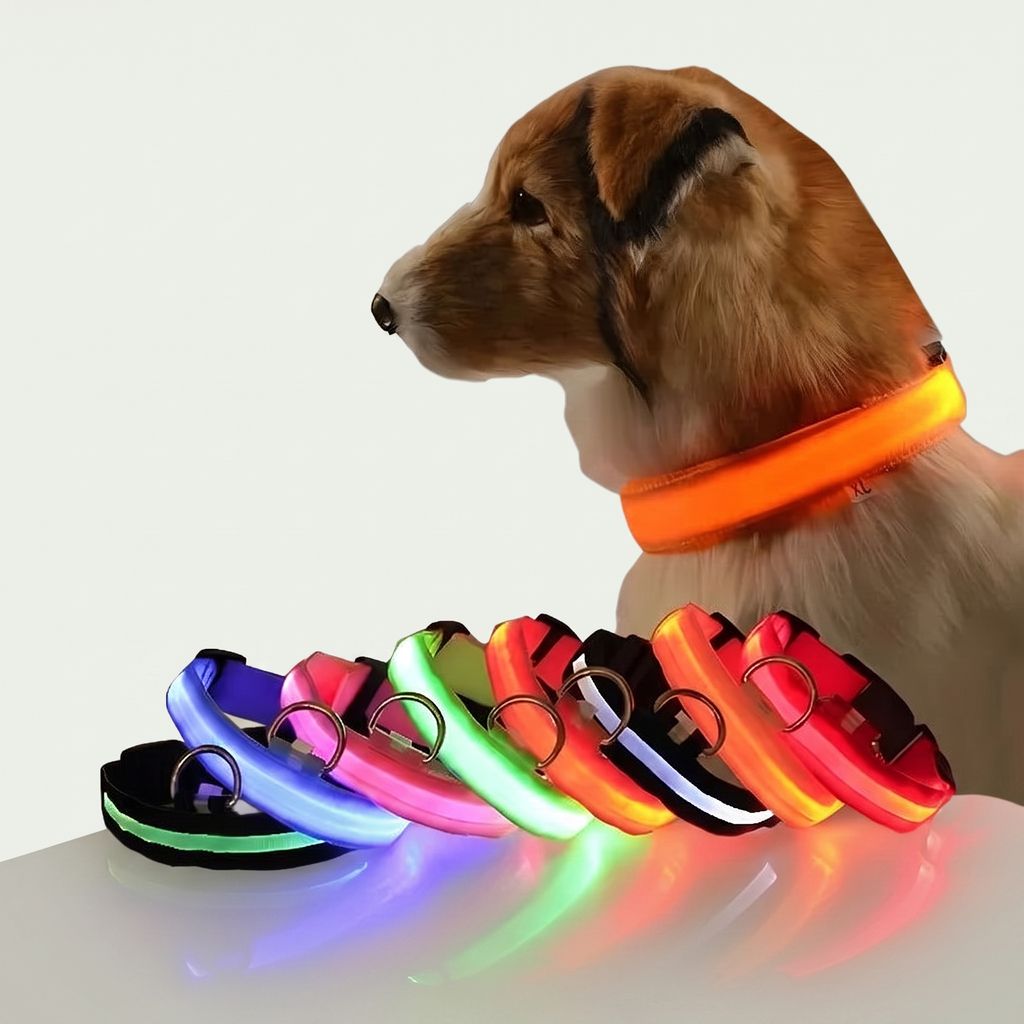 Studio photo of NightPaw — LED Glow-in-the-Dark Nylon Dog Safety Collar in Edit: Resize the entire canvas to a 1024x1024 …