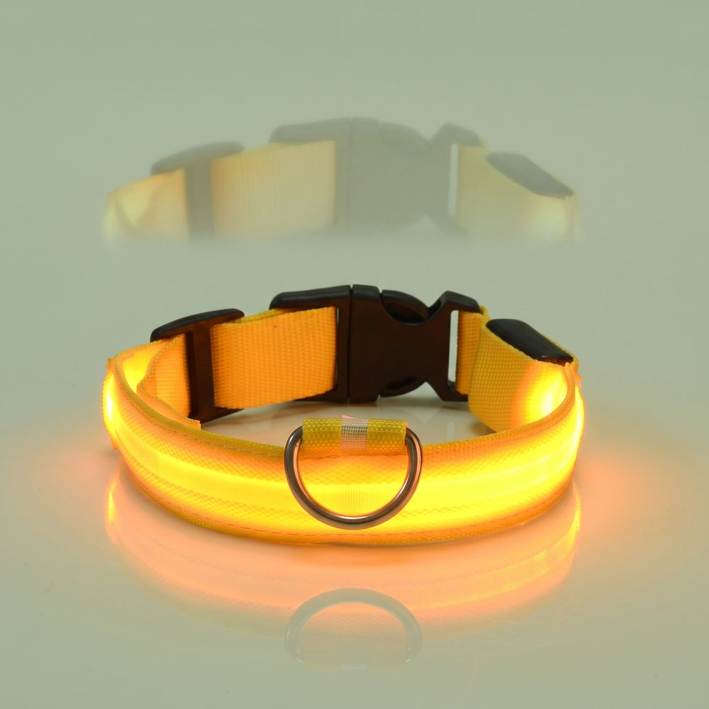 Studio photo of NightPaw — LED Glow-in-the-Dark Nylon Dog Safety Collar in Edit: Resize the entire canvas to a 1024x1024 …