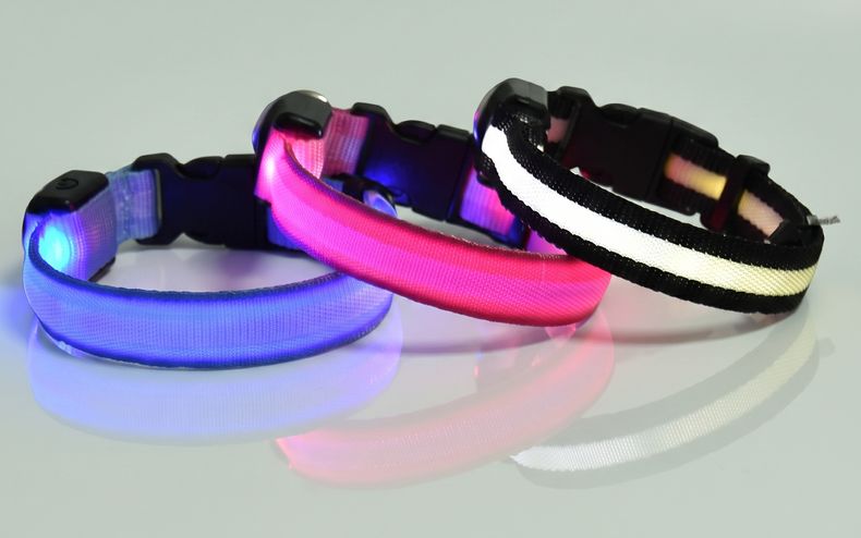 Studio photo of NightPaw — LED Glow-in-the-Dark Nylon Dog Safety Collar in Edit: Resize the entire canvas to a 1024x1024 …