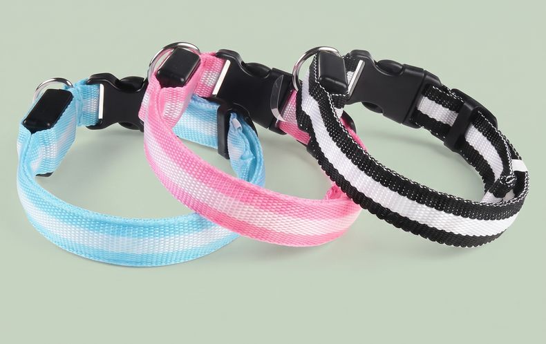 Studio photo of NightPaw — LED Glow-in-the-Dark Nylon Dog Safety Collar in Edit: Resize the entire canvas to a 1024x1024 …