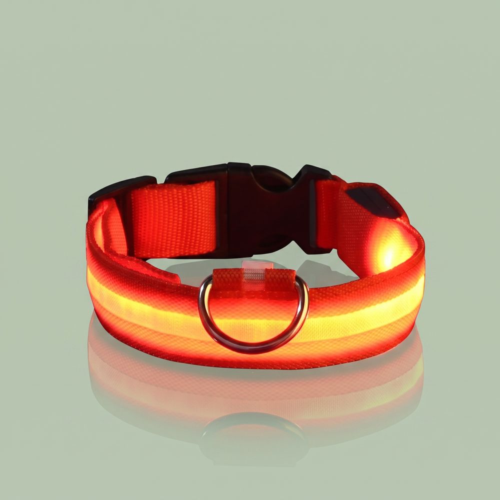 Studio photo of NightPaw — LED Glow-in-the-Dark Nylon Dog Safety Collar in Edit: Resize the entire canvas to a 1024x1024 …