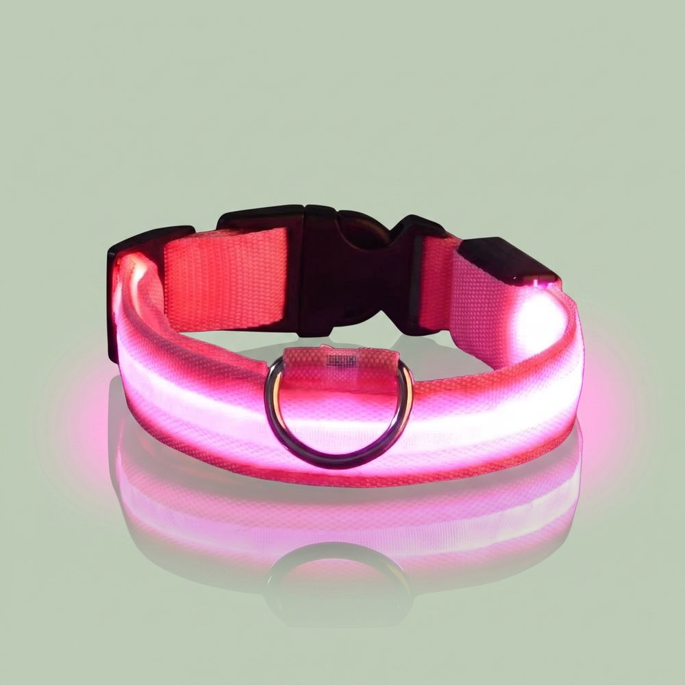 Studio photo of NightPaw — LED Glow-in-the-Dark Nylon Dog Safety Collar in Edit: Resize the entire canvas to a 1024x1024 …