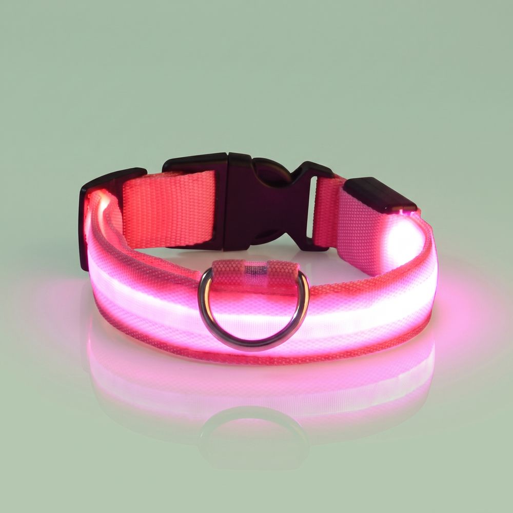 Studio photo of NightPaw — LED Glow-in-the-Dark Nylon Dog Safety Collar in Edit: Resize the entire canvas to a 1024x1024 …