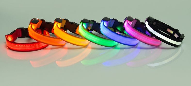 Studio photo of NightPaw — LED Glow-in-the-Dark Nylon Dog Safety Collar in Edit: Resize the entire canvas to a 1024x1024 …