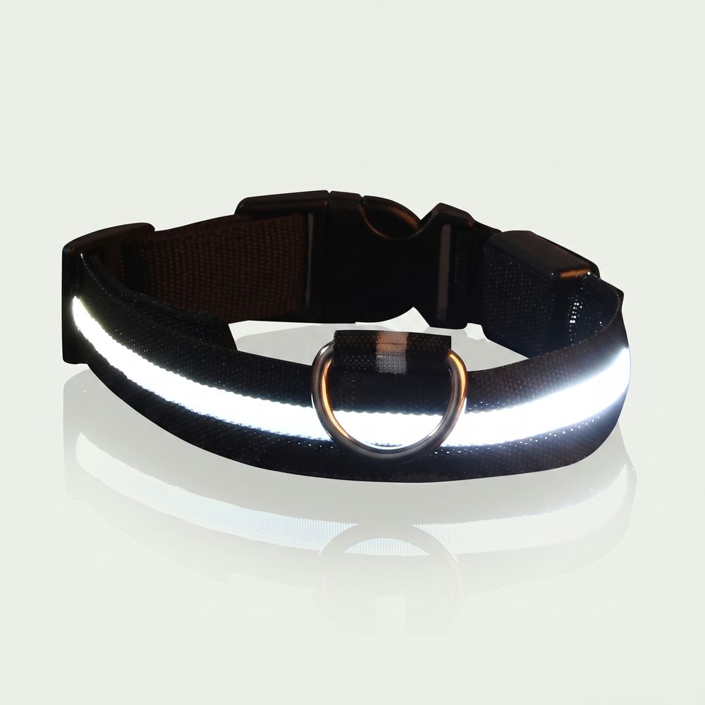 Studio photo of NightPaw — LED Glow-in-the-Dark Nylon Dog Safety Collar in Edit: Resize the entire canvas to a 1024x1024 …